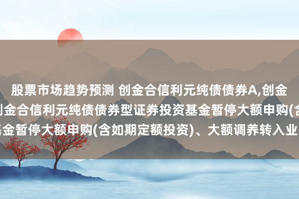 股票市场趋势预测 创金合信利元纯债债券A,创金合信利元纯债债券C: 创金合信利元纯债债券型证券投资基金暂停大额申购(含如期定额投资)、大额调养转入业务的公告