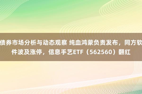 债券市场分析与动态观察 纯血鸿蒙负责发布，同方软件波及涨停，信息手艺ETF（562560）翻红