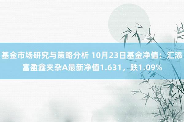 基金市场研究与策略分析 10月23日基金净值：汇添富盈鑫夹杂A最新净值1.631，跌1.09%