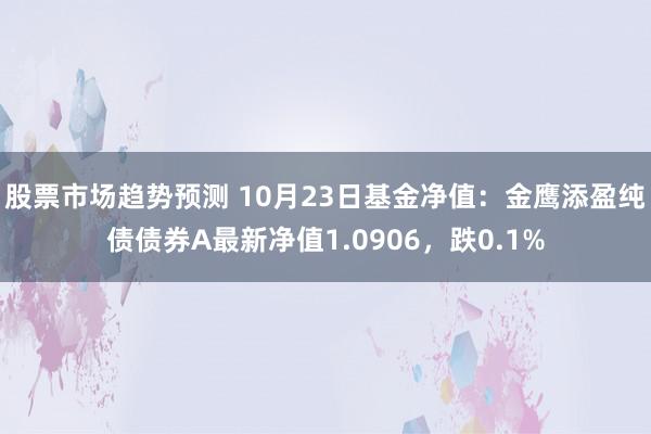 股票市场趋势预测 10月23日基金净值：金鹰添盈纯债债券A最新净值1.0906，跌0.1%