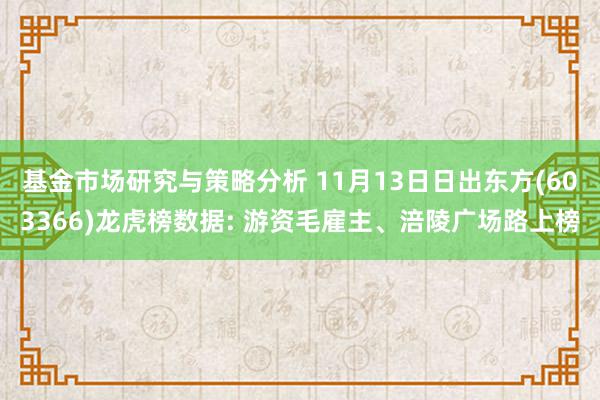 基金市场研究与策略分析 11月13日日出东方(603366)龙虎榜数据: 游资毛雇主、涪陵广场路上榜