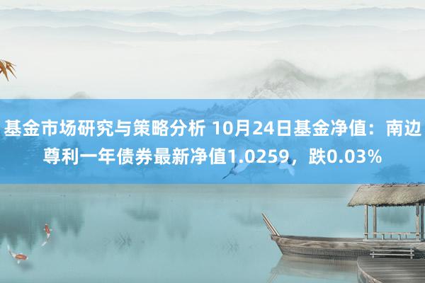 基金市场研究与策略分析 10月24日基金净值：南边尊利一年债券最新净值1.0259，跌0.03%