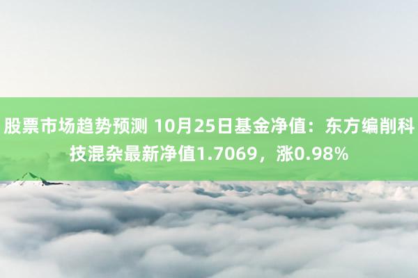 股票市场趋势预测 10月25日基金净值：东方编削科技混杂最新净值1.7069，涨0.98%