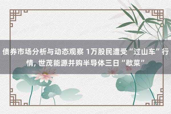 债券市场分析与动态观察 1万股民遭受“过山车”行情, 世茂能源并购半导体三日“歇菜”