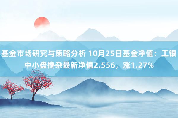 基金市场研究与策略分析 10月25日基金净值：工银中小盘搀杂最新净值2.556，涨1.27%