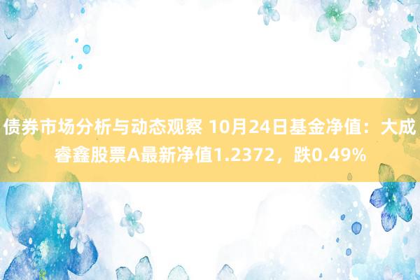 债券市场分析与动态观察 10月24日基金净值：大成睿鑫股票A最新净值1.2372，跌0.49%