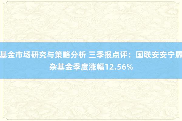 基金市场研究与策略分析 三季报点评：国联安安宁羼杂基金季度涨幅12.56%