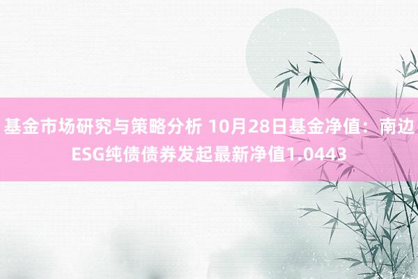 基金市场研究与策略分析 10月28日基金净值：南边ESG纯债债券发起最新净值1.0443