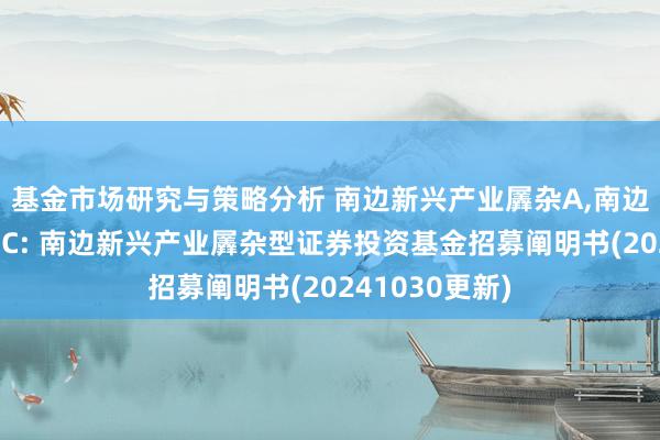 基金市场研究与策略分析 南边新兴产业羼杂A,南边新兴产业羼杂C: 南边新兴产业羼杂型证券投资基金招募阐明书(20241030更新)