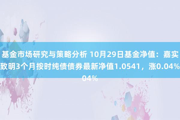 基金市场研究与策略分析 10月29日基金净值：嘉实致明3个月按时纯债债券最新净值1.0541，涨0.04%