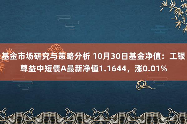 基金市场研究与策略分析 10月30日基金净值：工银尊益中短债A最新净值1.1644，涨0.01%