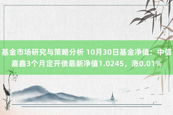 基金市场研究与策略分析 10月30日基金净值：中信嘉鑫3个月定开债最新净值1.0245，涨0.01%