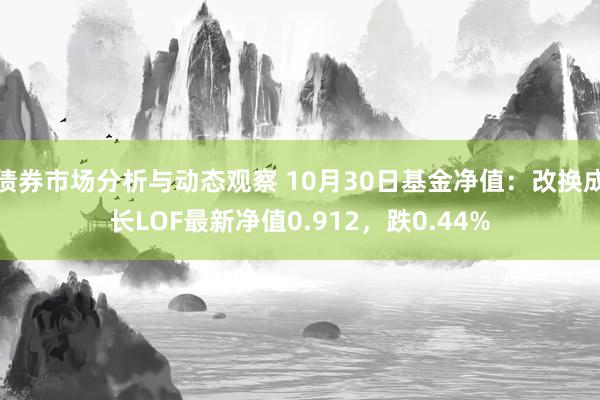 债券市场分析与动态观察 10月30日基金净值：改换成长LOF最新净值0.912，跌0.44%