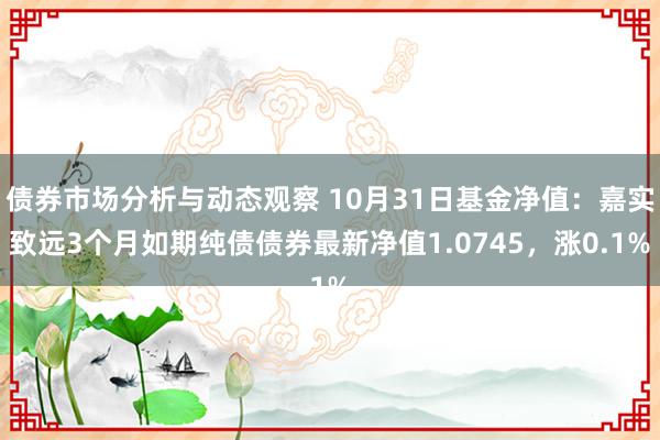 债券市场分析与动态观察 10月31日基金净值：嘉实致远3个月如期纯债债券最新净值1.0745，涨0.1%