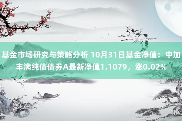 基金市场研究与策略分析 10月31日基金净值：中加丰满纯债债券A最新净值1.1079，涨0.02%