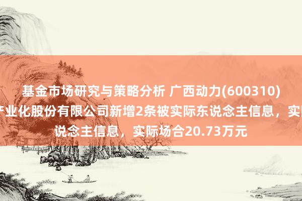 基金市场研究与策略分析 广西动力(600310)参股的广西建筑产业化股份有限公司新增2条被实际东说念主信息，实际场合20.73万元