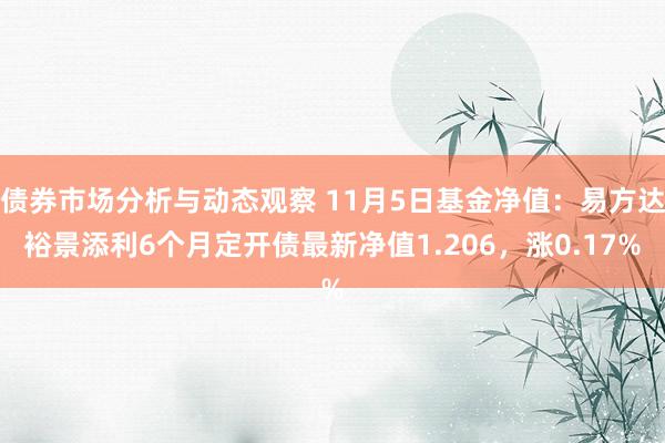 债券市场分析与动态观察 11月5日基金净值：易方达裕景添利6个月定开债最新净值1.206，涨0.17%