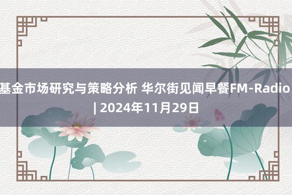 基金市场研究与策略分析 华尔街见闻早餐FM-Radio | 2024年11月29日