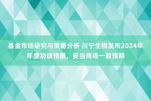 基金市场研究与策略分析 川宁生物发布2024年年度功绩预报，妥当商场一致预期