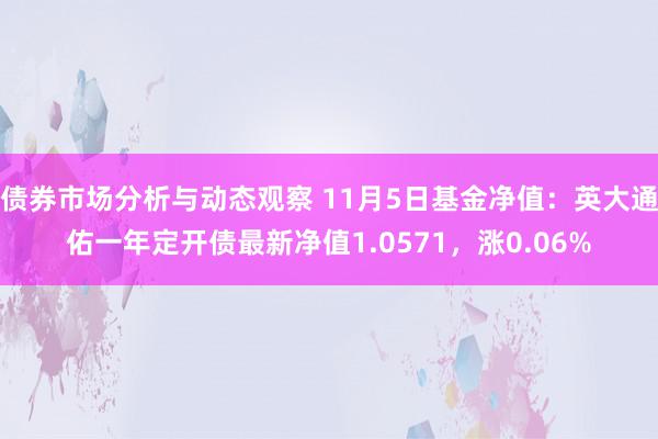 债券市场分析与动态观察 11月5日基金净值：英大通佑一年定开债最新净值1.0571，涨0.06%