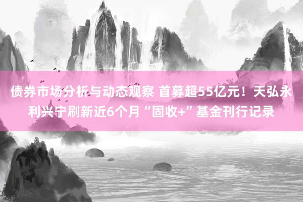 债券市场分析与动态观察 首募超55亿元！天弘永利兴宁刷新近6个月“固收+”基金刊行记录