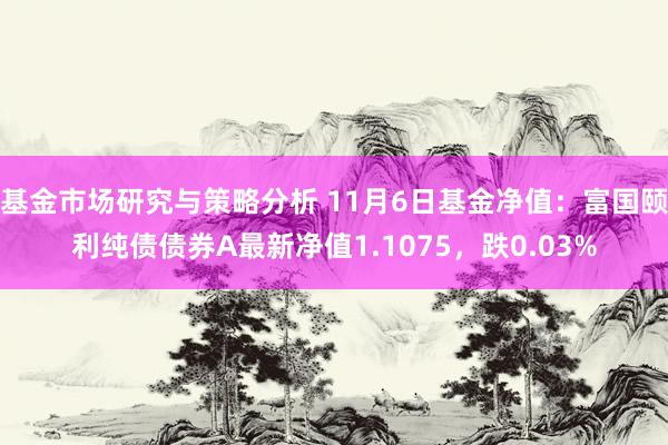 基金市场研究与策略分析 11月6日基金净值：富国颐利纯债债券A最新净值1.1075，跌0.03%