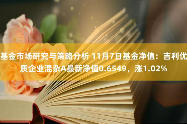 基金市场研究与策略分析 11月7日基金净值：吉利优质企业混杂A最新净值0.6549，涨1.02%