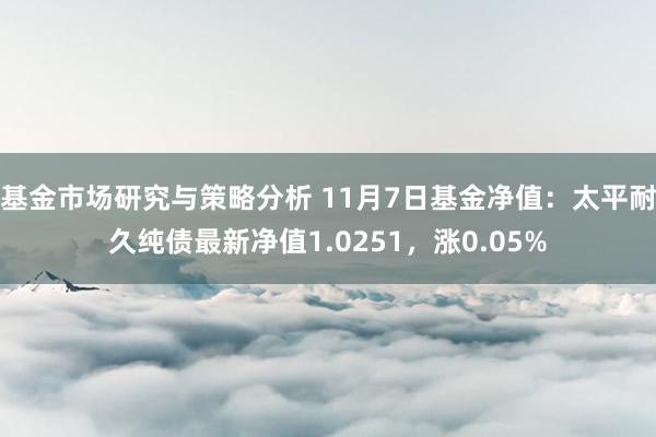 基金市场研究与策略分析 11月7日基金净值：太平耐久纯债最新净值1.0251，涨0.05%