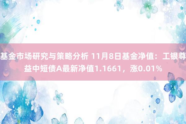 基金市场研究与策略分析 11月8日基金净值：工银尊益中短债A最新净值1.1661，涨0.01%