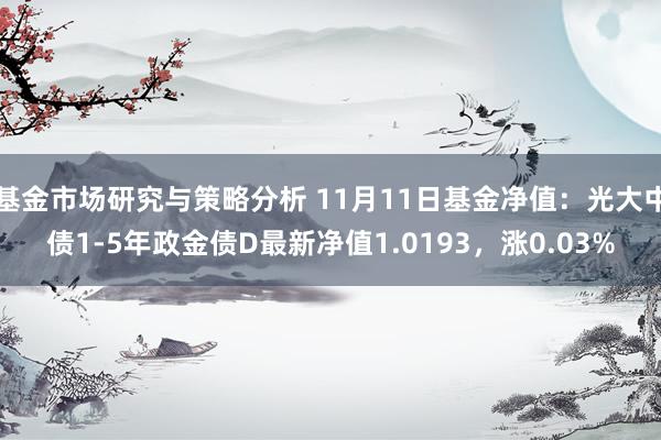 基金市场研究与策略分析 11月11日基金净值：光大中债1-5年政金债D最新净值1.0193，涨0.03%