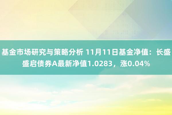 基金市场研究与策略分析 11月11日基金净值：长盛盛启债券A最新净值1.0283，涨0.04%