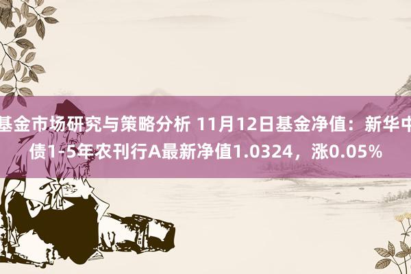 基金市场研究与策略分析 11月12日基金净值：新华中债1-5年农刊行A最新净值1.0324，涨0.05%