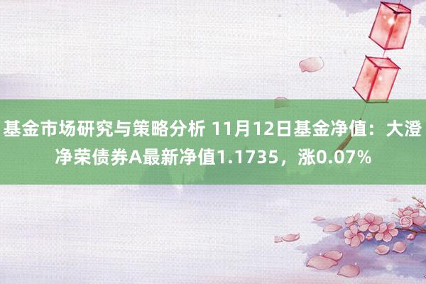 基金市场研究与策略分析 11月12日基金净值：大澄净荣债券A最新净值1.1735，涨0.07%