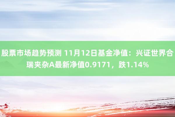 股票市场趋势预测 11月12日基金净值：兴证世界合瑞夹杂A最新净值0.9171，跌1.14%