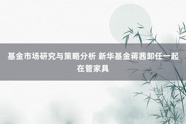 基金市场研究与策略分析 新华基金蒋茜卸任一起在管家具