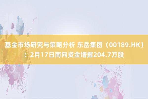 基金市场研究与策略分析 东岳集团（00189.HK）：2月17日南向资金增握204.7万股