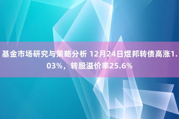 基金市场研究与策略分析 12月24日煜邦转债高涨1.03%，转股溢价率25.6%