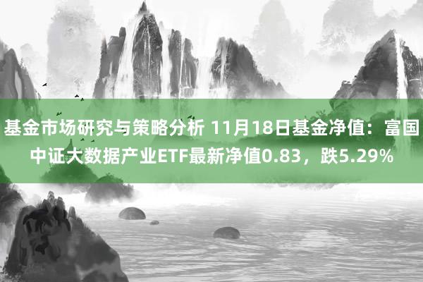 基金市场研究与策略分析 11月18日基金净值：富国中证大数据产业ETF最新净值0.83，跌5.29%