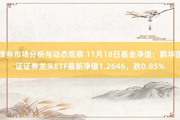 债券市场分析与动态观察 11月18日基金净值：鹏华国证证券龙头ETF最新净值1.2646，跌0.85%