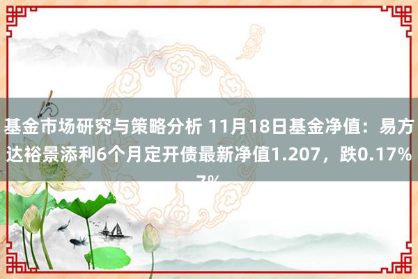 基金市场研究与策略分析 11月18日基金净值：易方达裕景添利6个月定开债最新净值1.207，跌0.17%