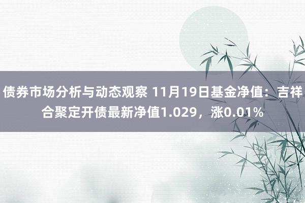 债券市场分析与动态观察 11月19日基金净值：吉祥合聚定开债最新净值1.029，涨0.01%