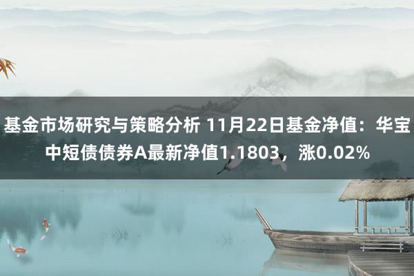 基金市场研究与策略分析 11月22日基金净值：华宝中短债债券A最新净值1.1803，涨0.02%