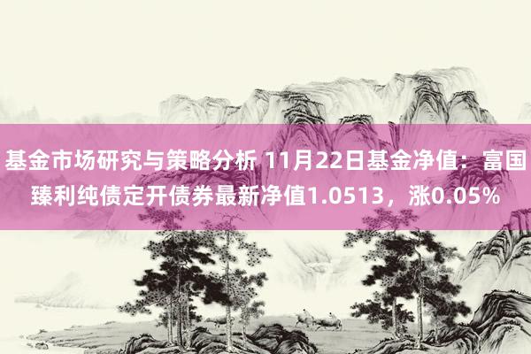 基金市场研究与策略分析 11月22日基金净值：富国臻利纯债定开债券最新净值1.0513，涨0.05%