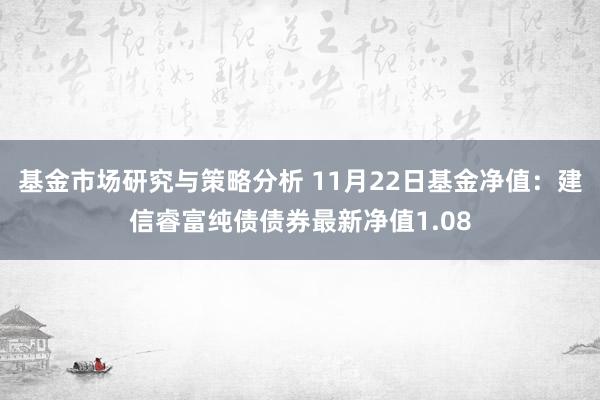 基金市场研究与策略分析 11月22日基金净值：建信睿富纯债债券最新净值1.08