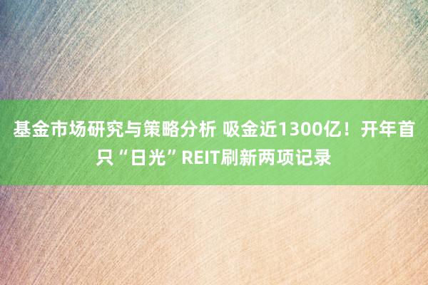 基金市场研究与策略分析 吸金近1300亿！开年首只“日光”REIT刷新两项记录