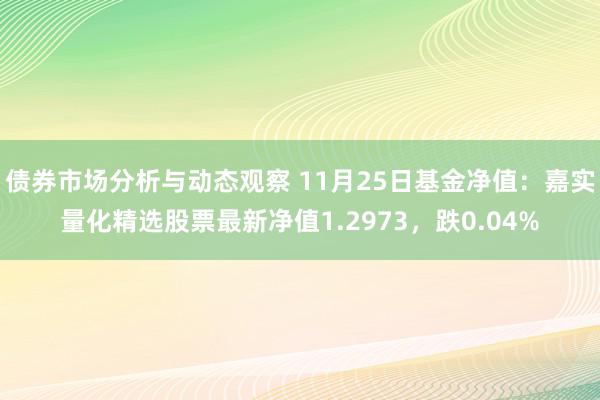 债券市场分析与动态观察 11月25日基金净值：嘉实量化精选股票最新净值1.2973，跌0.04%