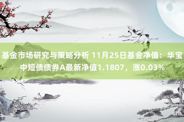 基金市场研究与策略分析 11月25日基金净值：华宝中短债债券A最新净值1.1807，涨0.03%