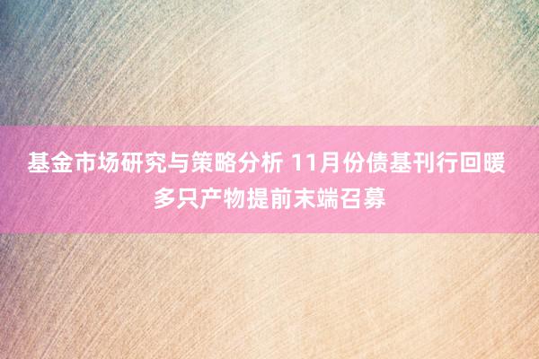 基金市场研究与策略分析 11月份债基刊行回暖 多只产物提前末端召募