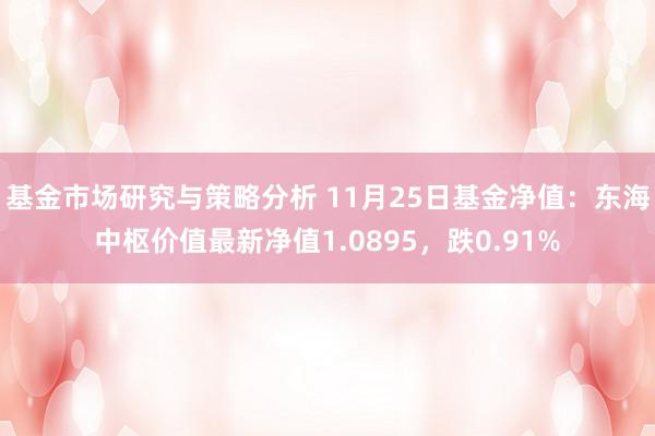 基金市场研究与策略分析 11月25日基金净值：东海中枢价值最新净值1.0895，跌0.91%